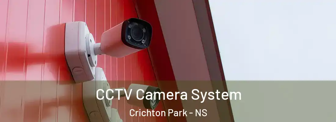 CCTV Camera System Crichton Park - NS