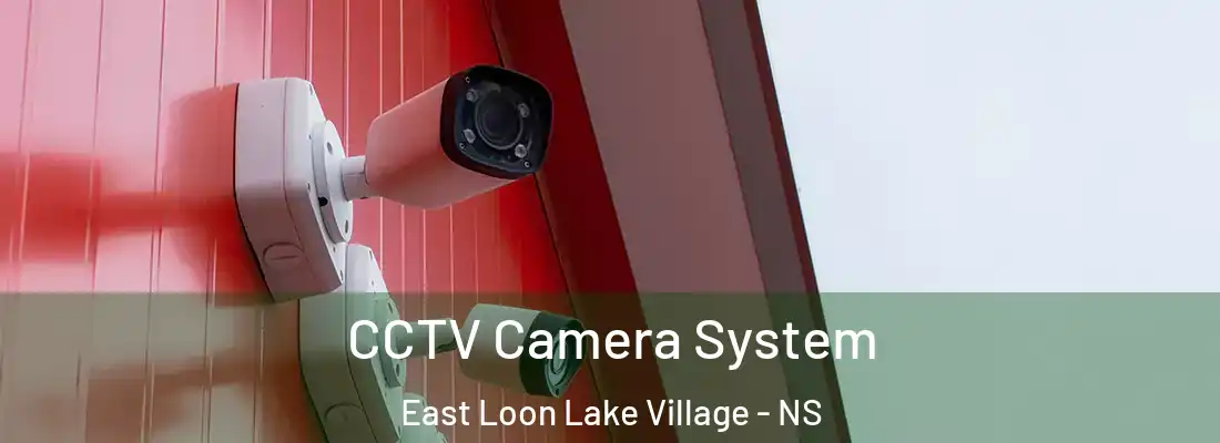 CCTV Camera System East Loon Lake Village - NS