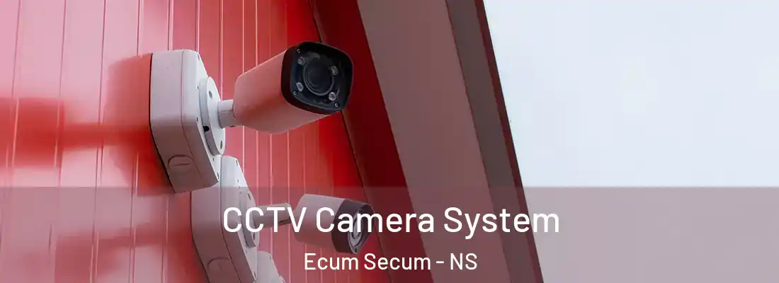 CCTV Camera System Ecum Secum - NS
