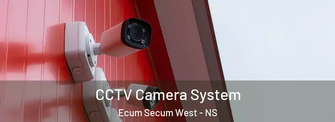 CCTV Camera System Ecum Secum West - NS
