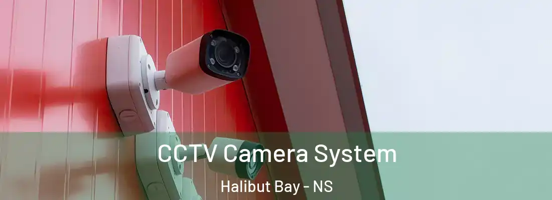 CCTV Camera System Halibut Bay - NS