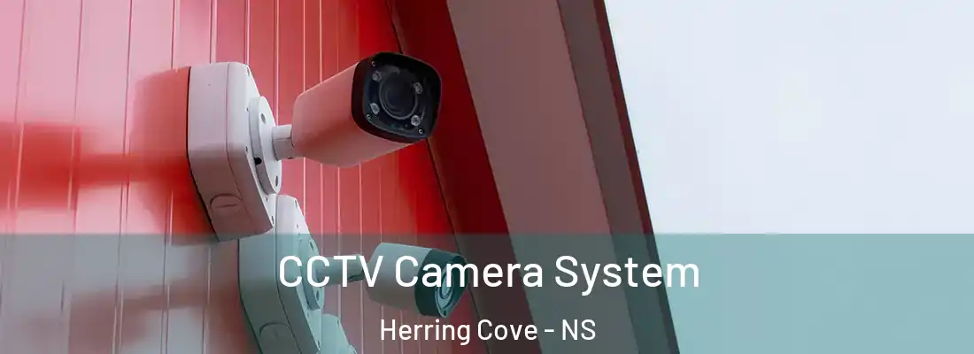 CCTV Camera System Herring Cove - NS