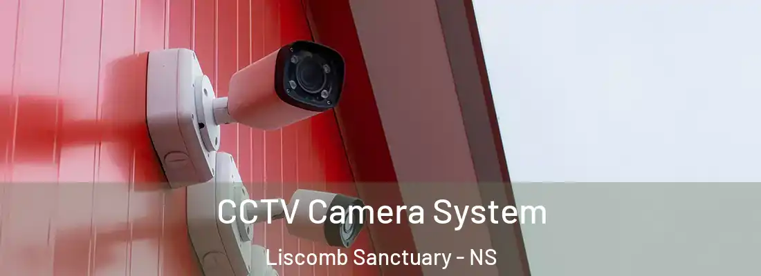 CCTV Camera System Liscomb Sanctuary - NS