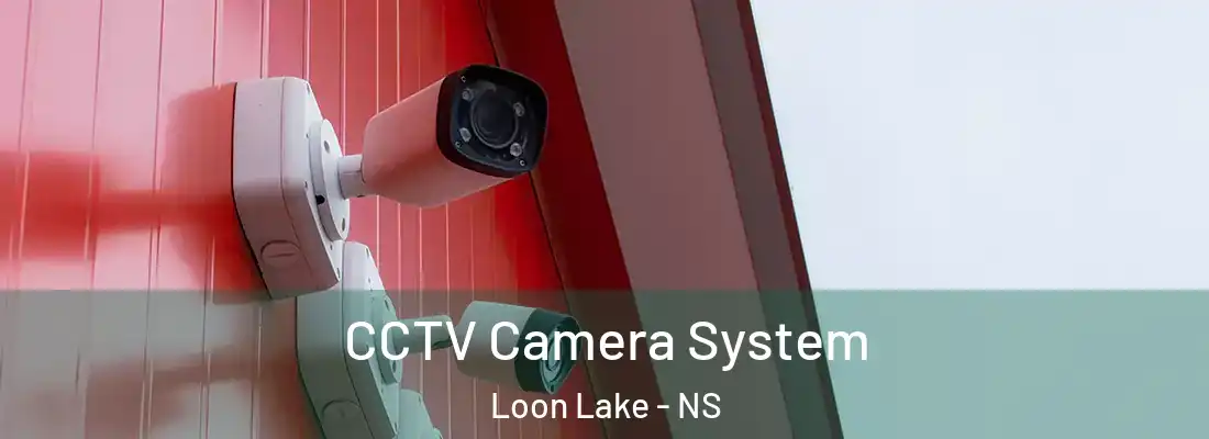 CCTV Camera System Loon Lake - NS