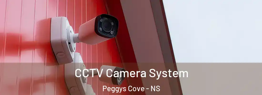 CCTV Camera System Peggys Cove - NS