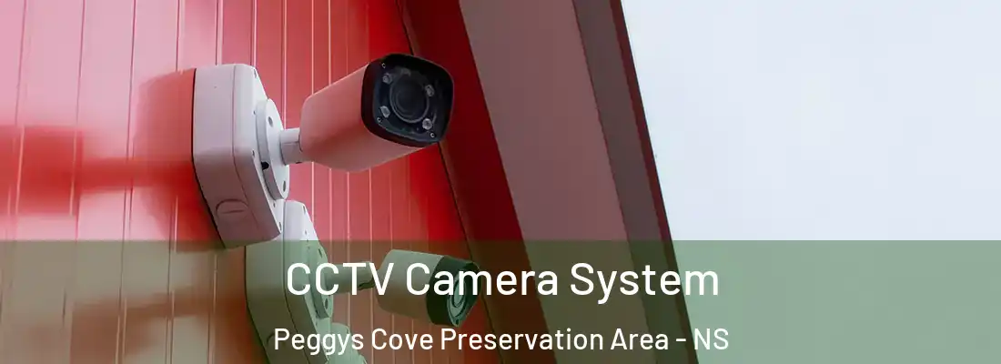 CCTV Camera System Peggys Cove Preservation Area - NS