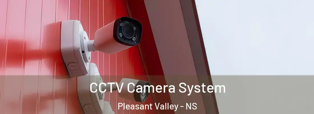 CCTV Camera System Pleasant Valley - NS