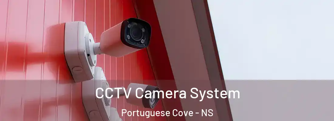  CCTV Camera System Portuguese Cove - NS