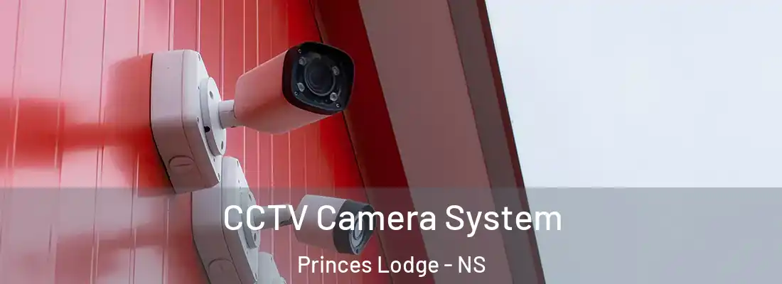 CCTV Camera System Princes Lodge - NS