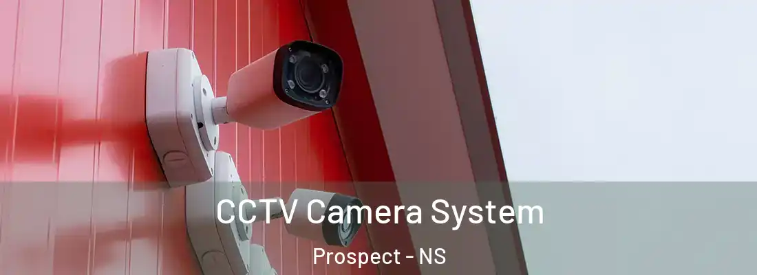 CCTV Camera System Prospect - NS