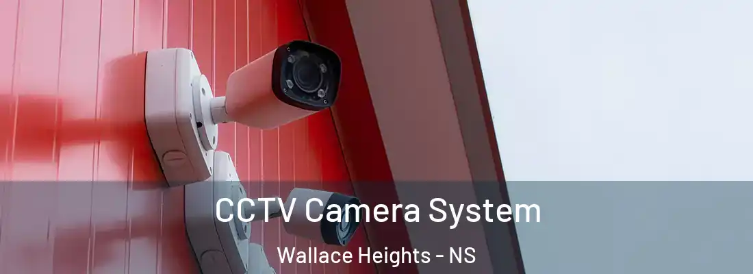  CCTV Camera System Wallace Heights - NS
