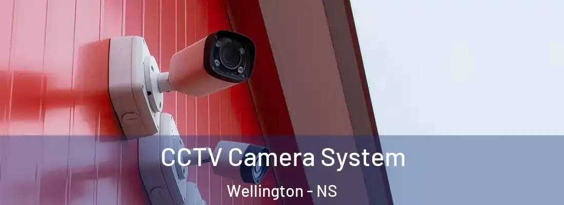 CCTV Camera System Wellington - NS