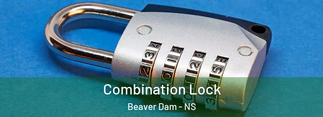 Combination Lock Beaver Dam - NS