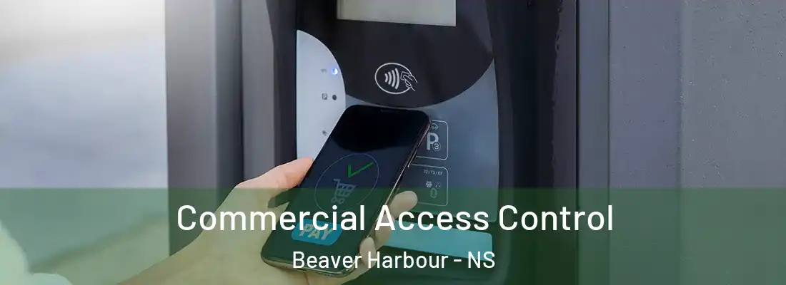 Commercial Access Control Beaver Harbour - NS