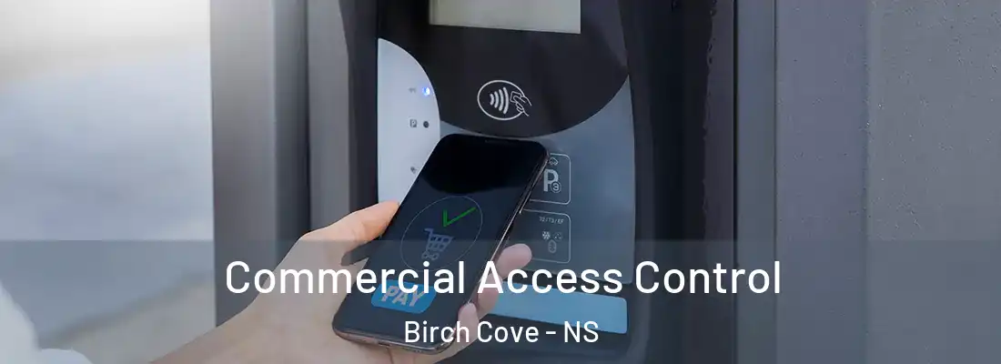 Commercial Access Control Birch Cove - NS