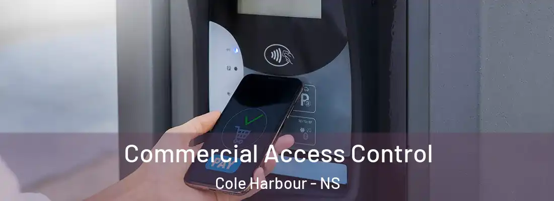 Commercial Access Control Cole Harbour - NS