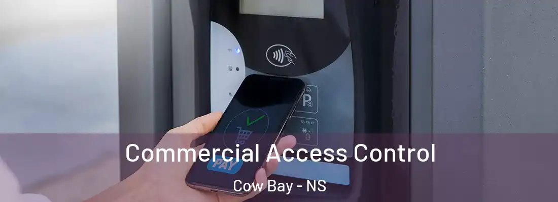 Commercial Access Control Cow Bay - NS