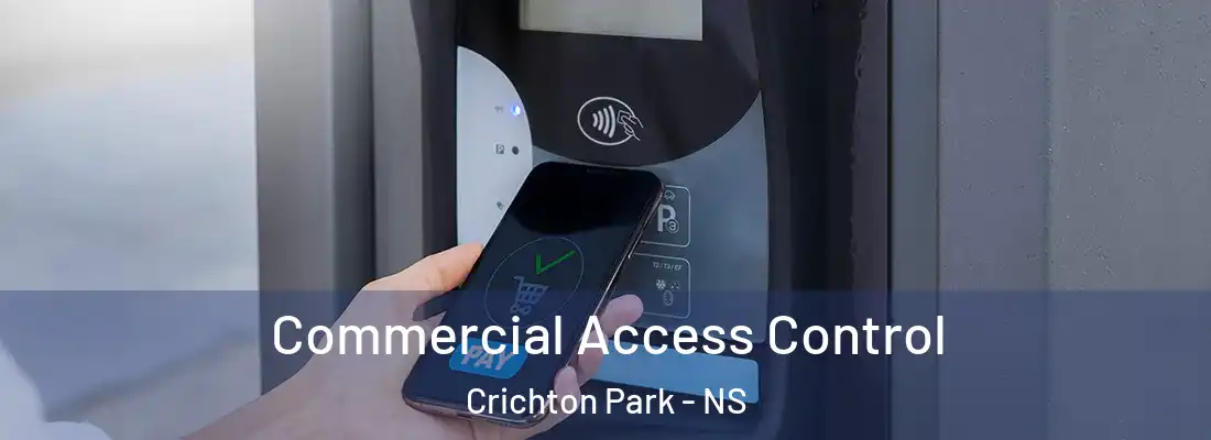 Commercial Access Control Crichton Park - NS