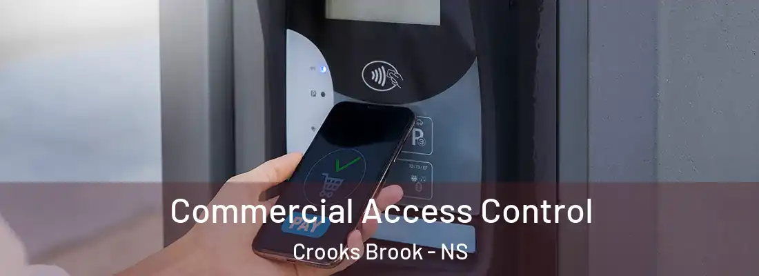 Commercial Access Control Crooks Brook - NS
