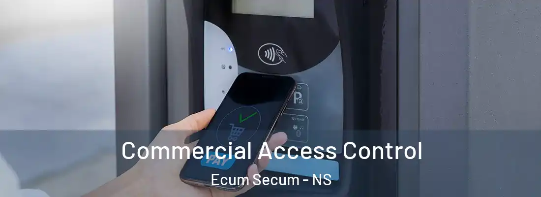 Commercial Access Control Ecum Secum - NS
