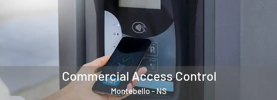  Commercial Access Control Montebello - NS