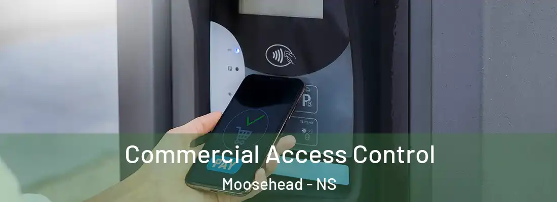 Commercial Access Control Moosehead - NS