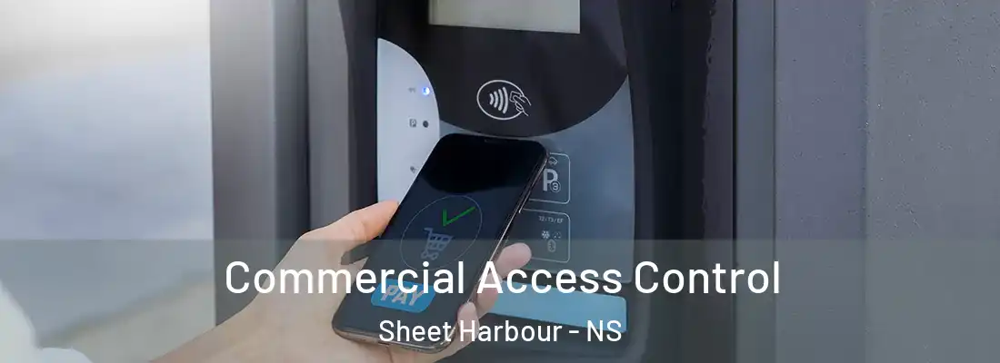 Commercial Access Control Sheet Harbour - NS