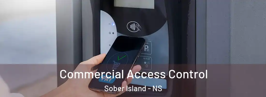 Commercial Access Control Sober Island - NS