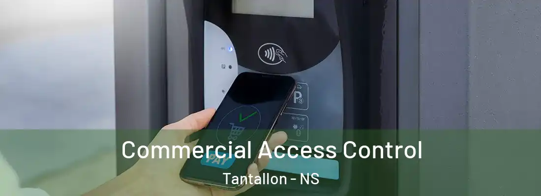 Commercial Access Control Tantallon - NS