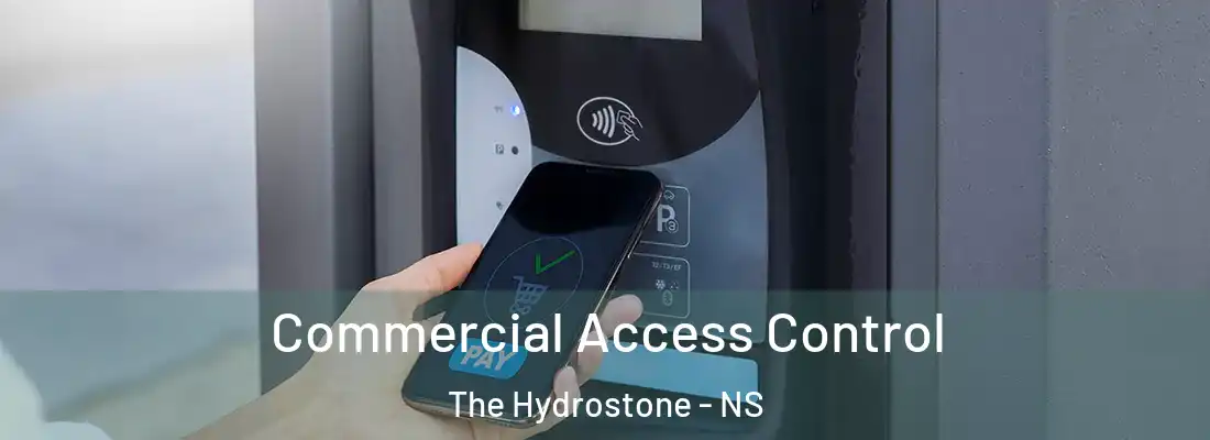 Commercial Access Control The Hydrostone - NS
