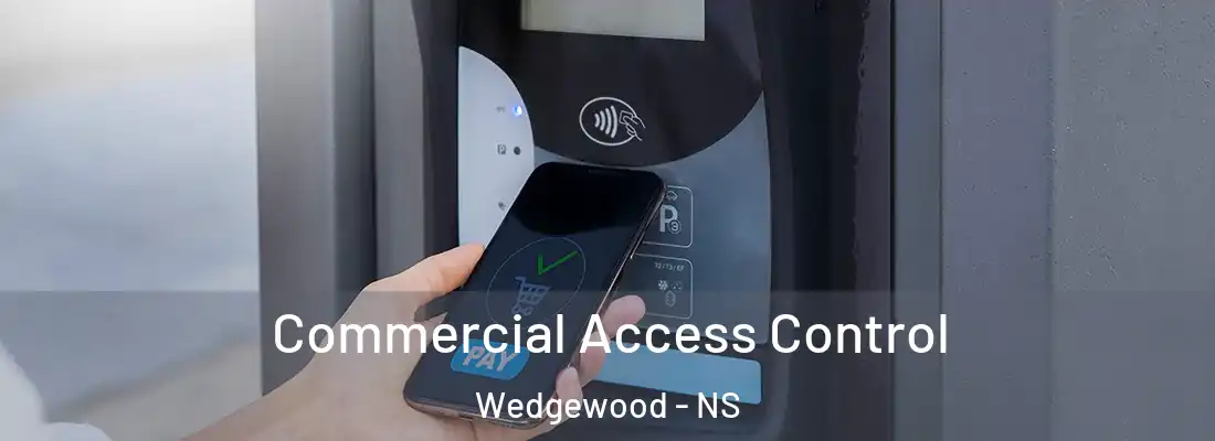  Commercial Access Control Wedgewood - NS