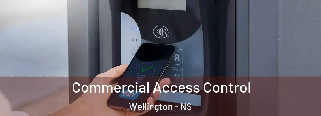 Commercial Access Control Wellington - NS