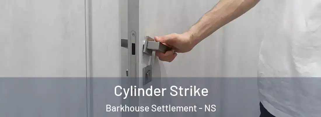 Cylinder Strike Barkhouse Settlement - NS