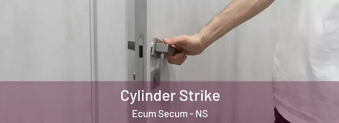 Cylinder Strike Ecum Secum - NS