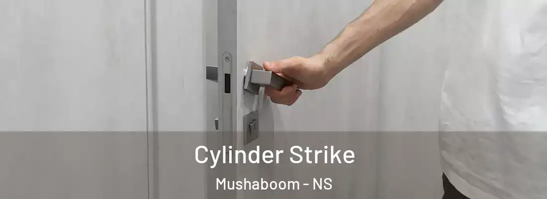 Cylinder Strike Mushaboom - NS