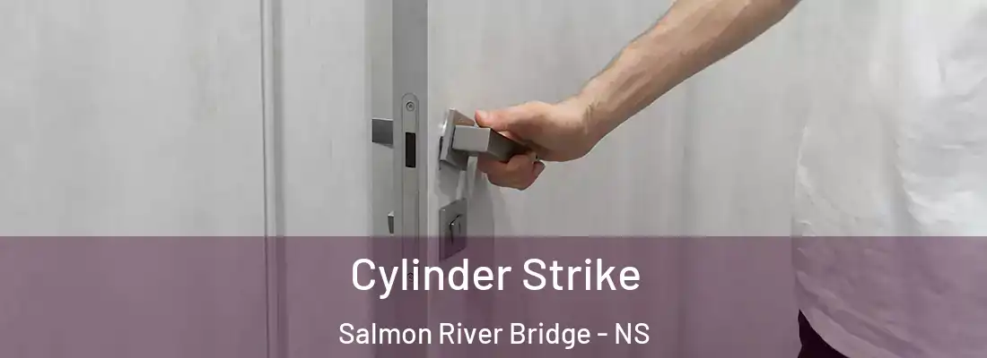 Cylinder Strike Salmon River Bridge - NS