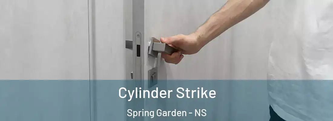  Cylinder Strike Spring Garden - NS