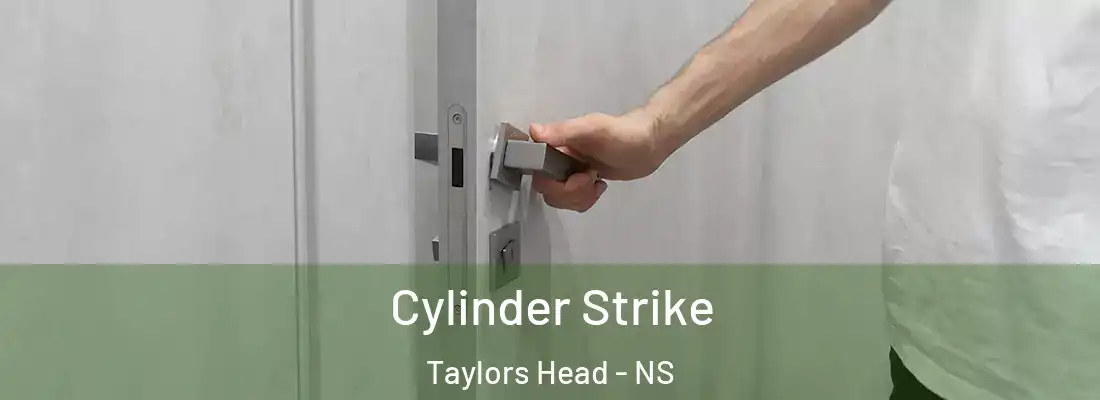 Cylinder Strike Taylors Head - NS