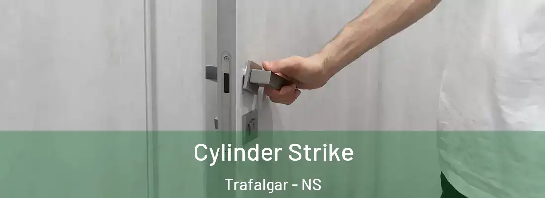 Cylinder Strike Trafalgar - NS