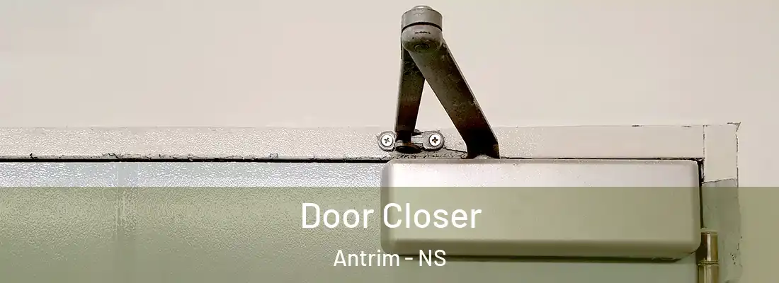 Door Closer Antrim - NS
