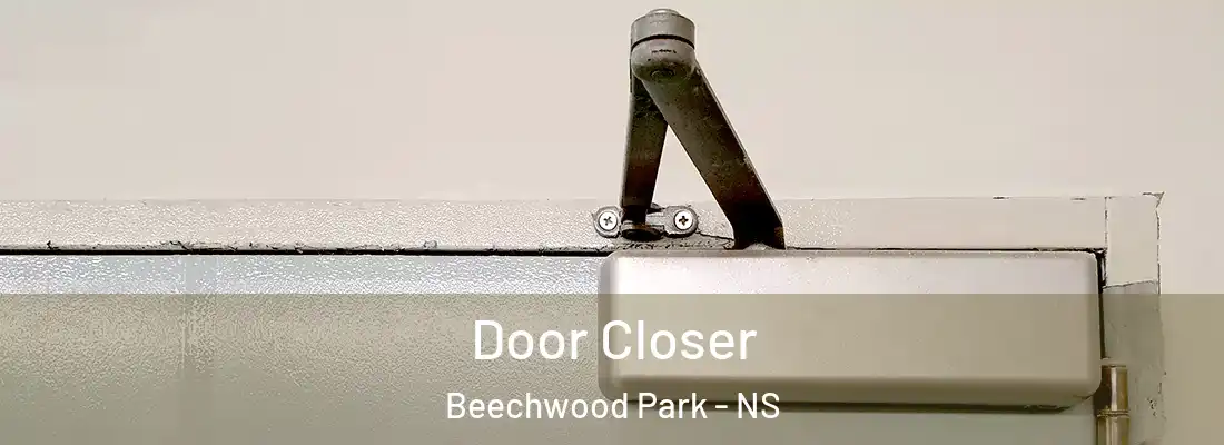Door Closer Beechwood Park - NS