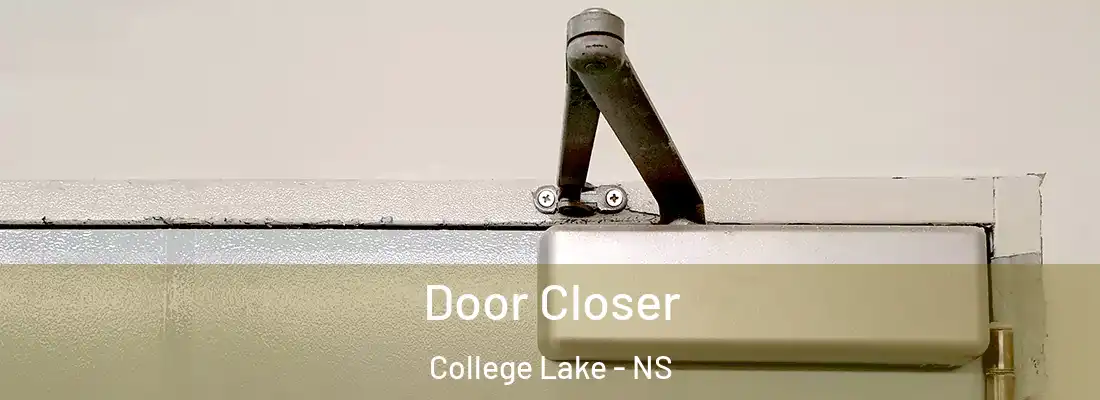 Door Closer College Lake - NS