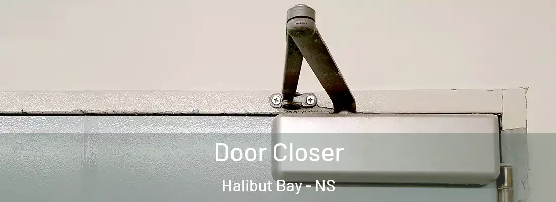 Door Closer Halibut Bay - NS