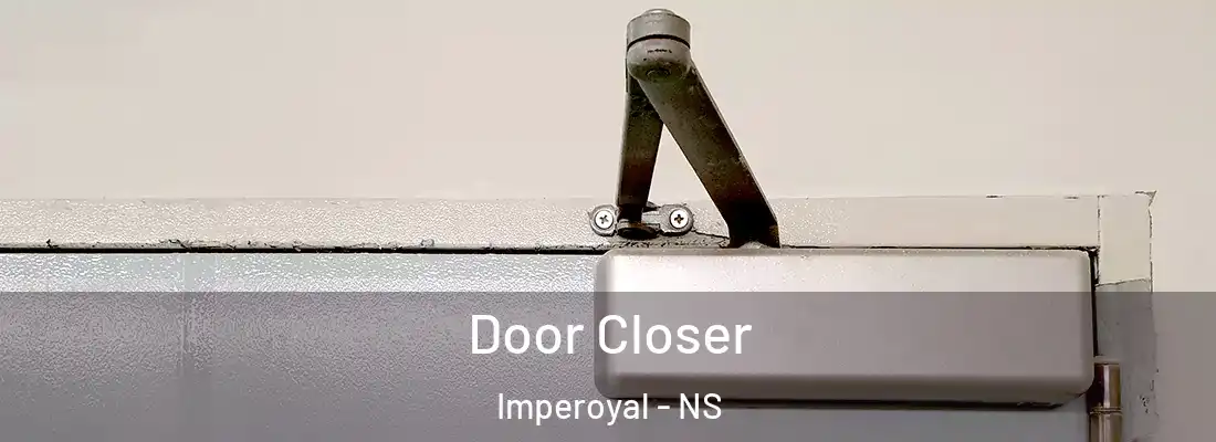 Door Closer Imperoyal - NS
