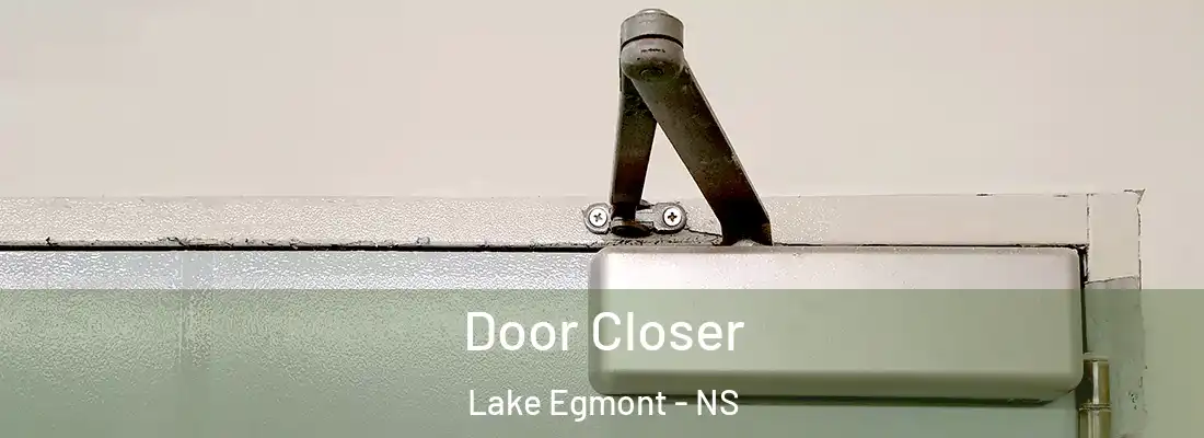 Door Closer Lake Egmont - NS