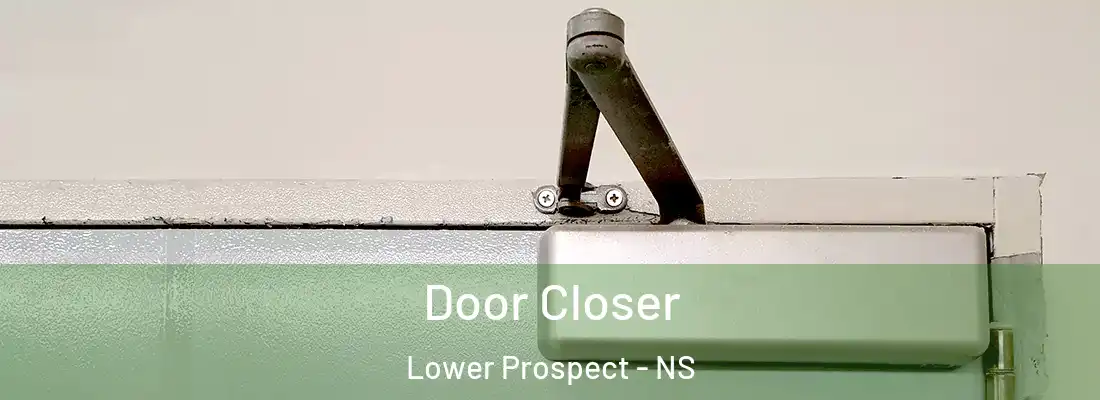  Door Closer Lower Prospect - NS