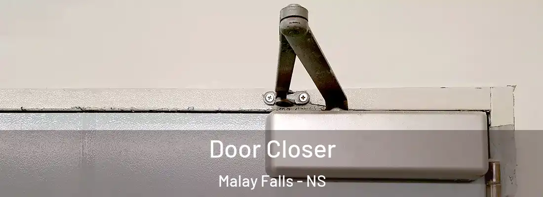 Door Closer Malay Falls - NS