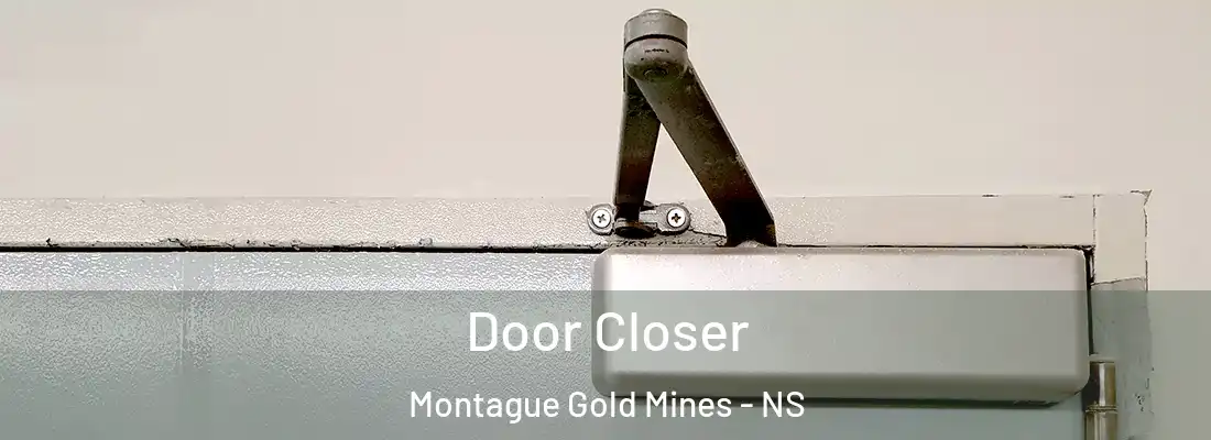  Door Closer Montague Gold Mines - NS