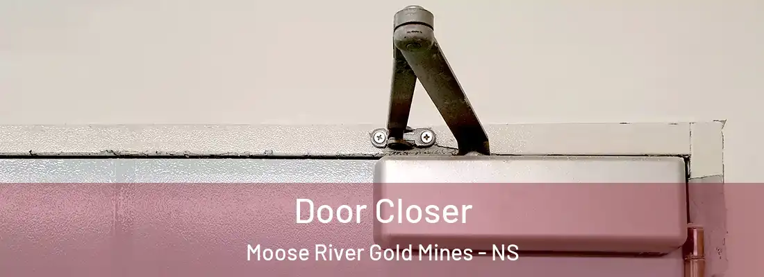 Door Closer Moose River Gold Mines - NS