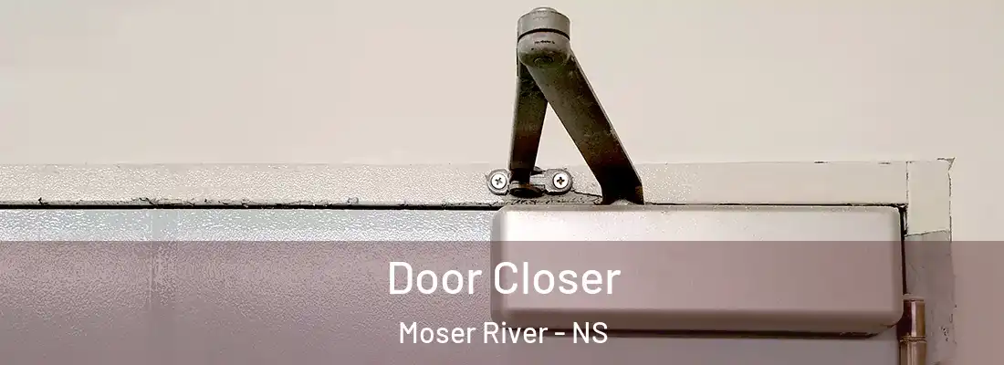  Door Closer Moser River - NS